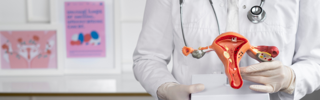 Medical professional in a white coat holds a detailed anatomical model of the female reproductive system (uterus, ovaries, fallopian tubes) in a clinical setting.